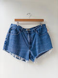Cutoff Denim Shorts