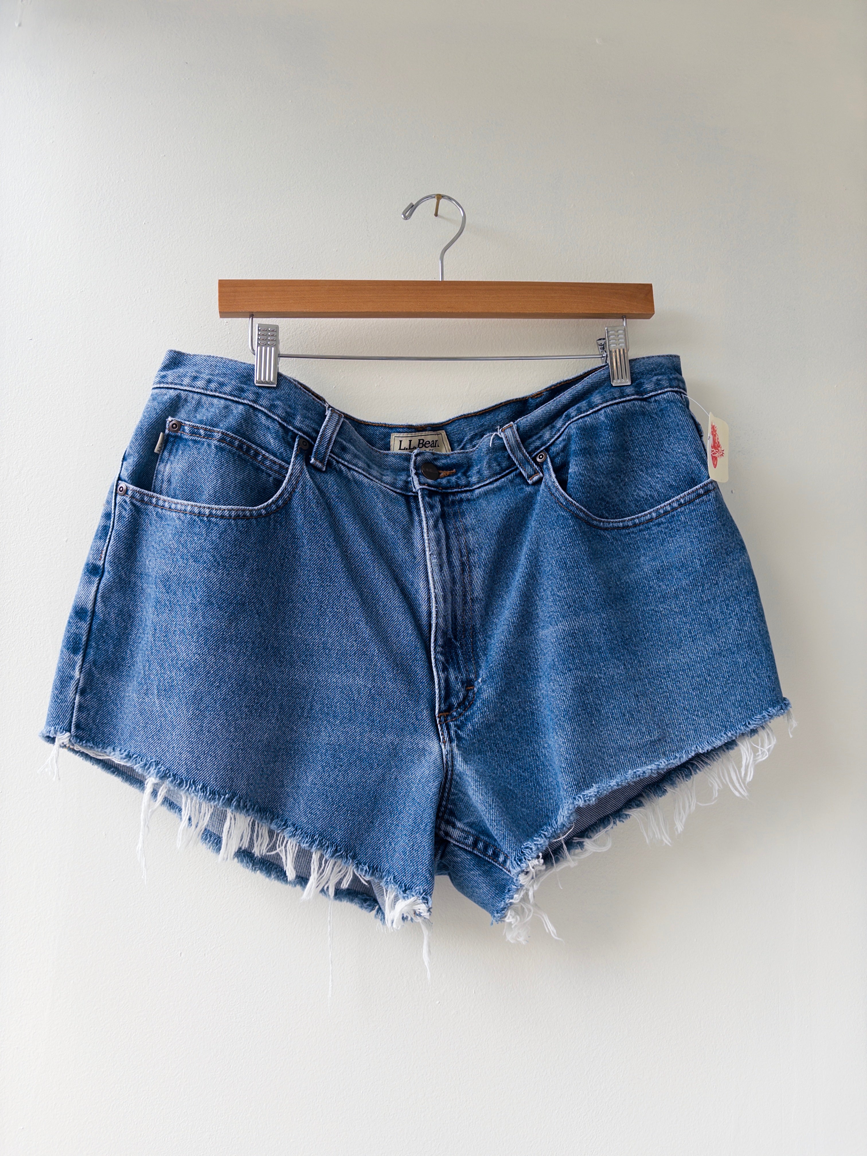 Cutoff Denim Shorts