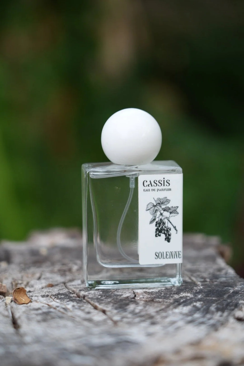 Cassis EDP