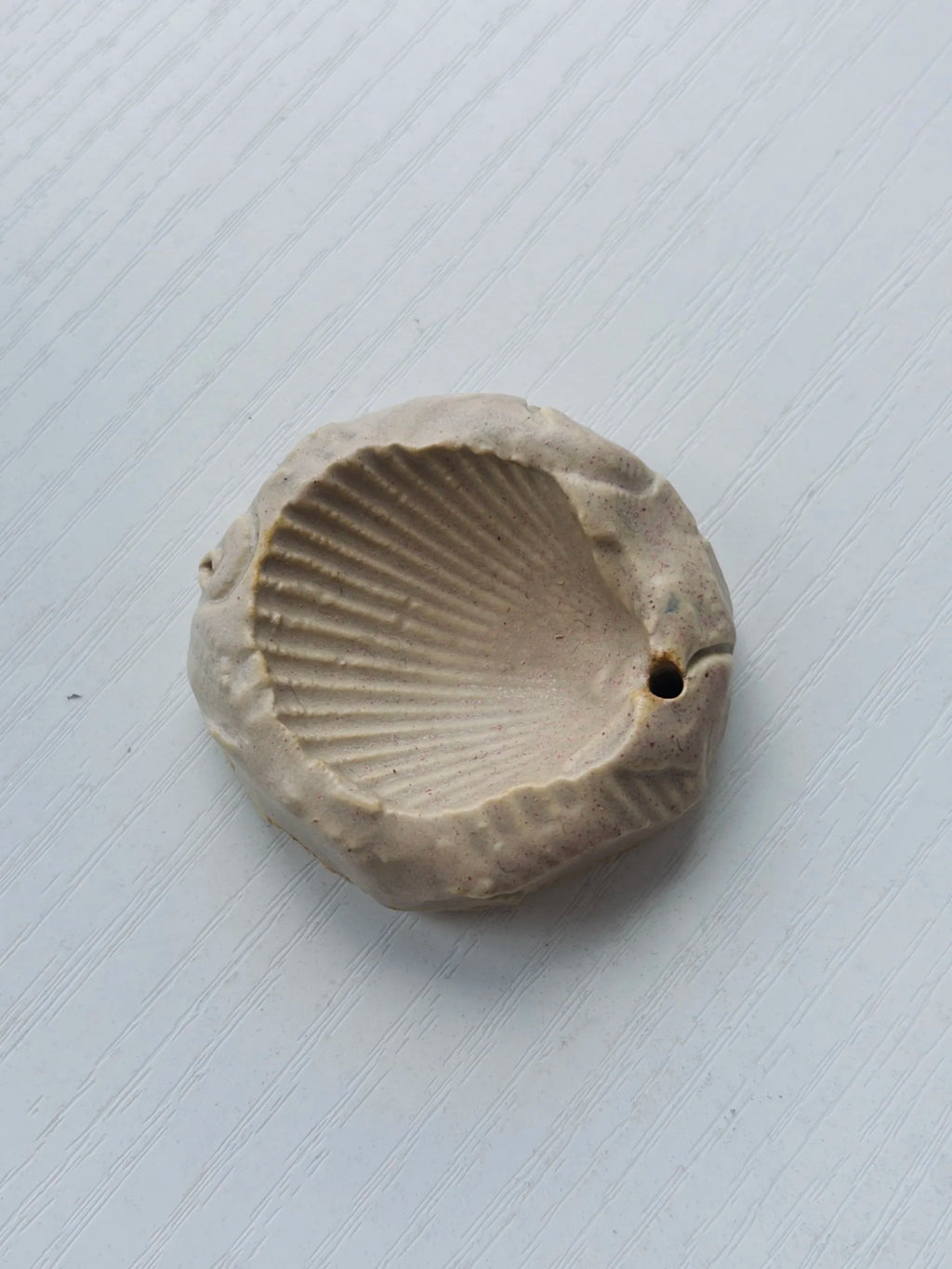 Shell Incense Holder