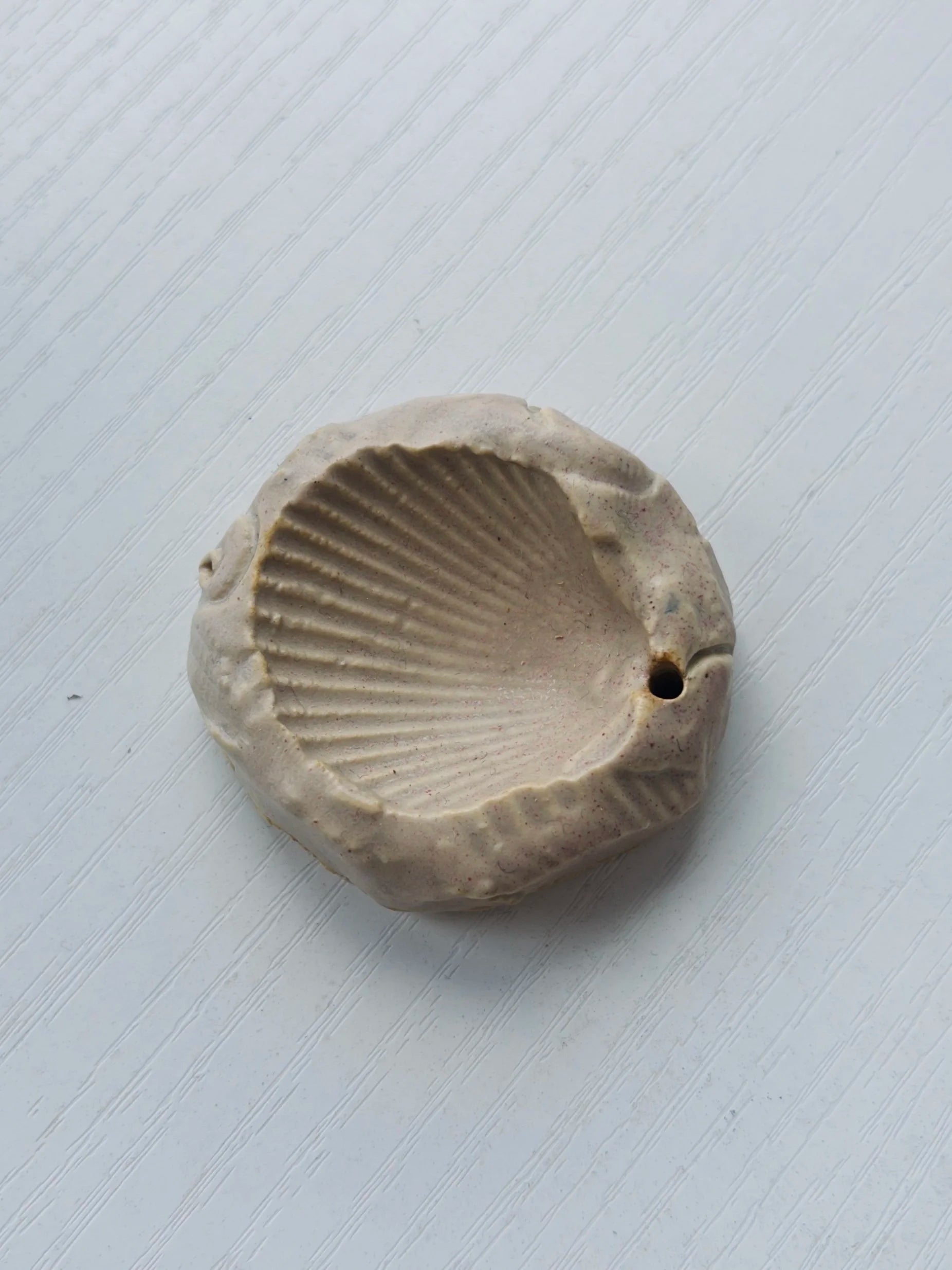 Shell Incense Holder