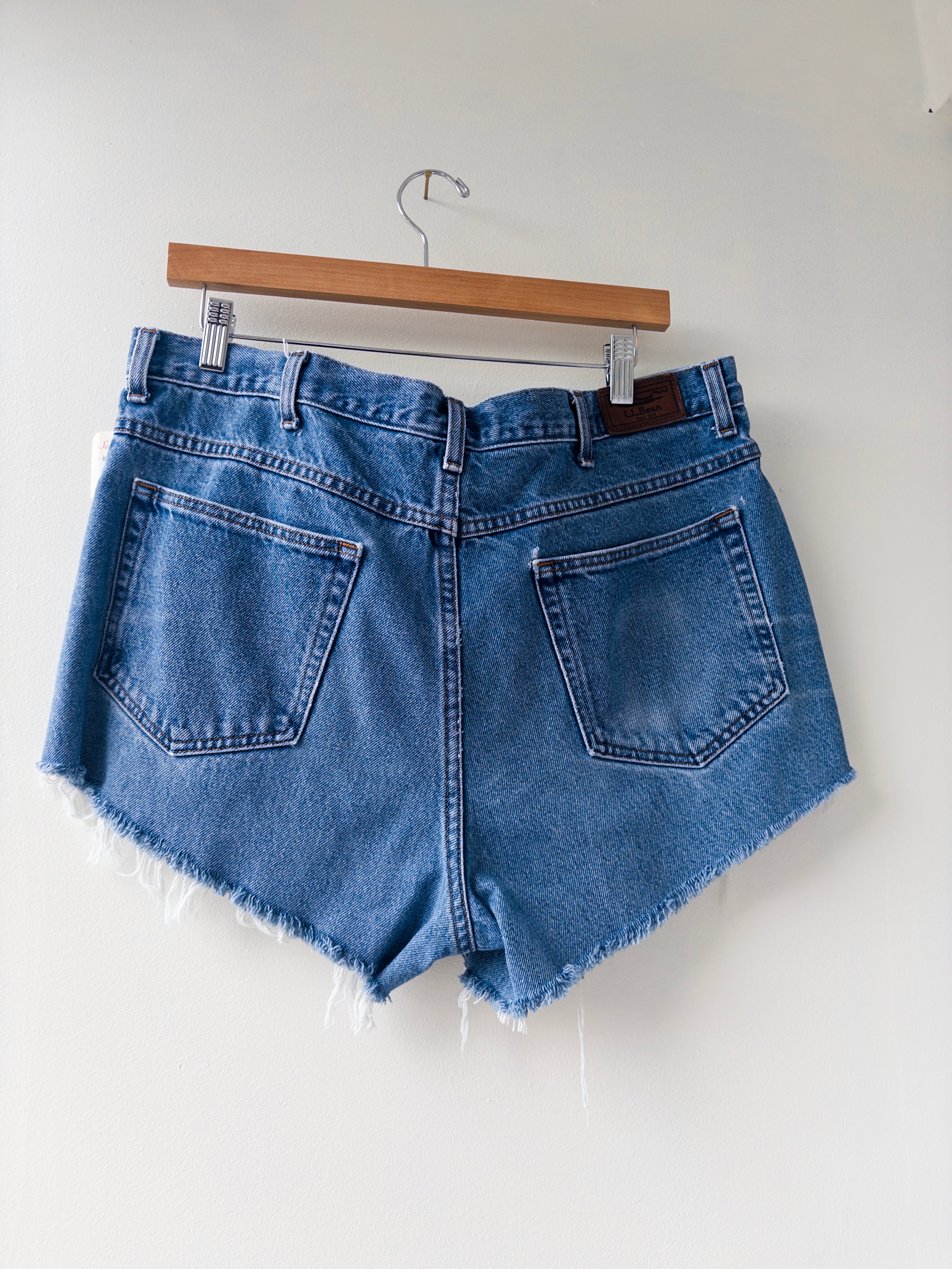Cutoff Denim Shorts