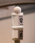 Cassis EDP
