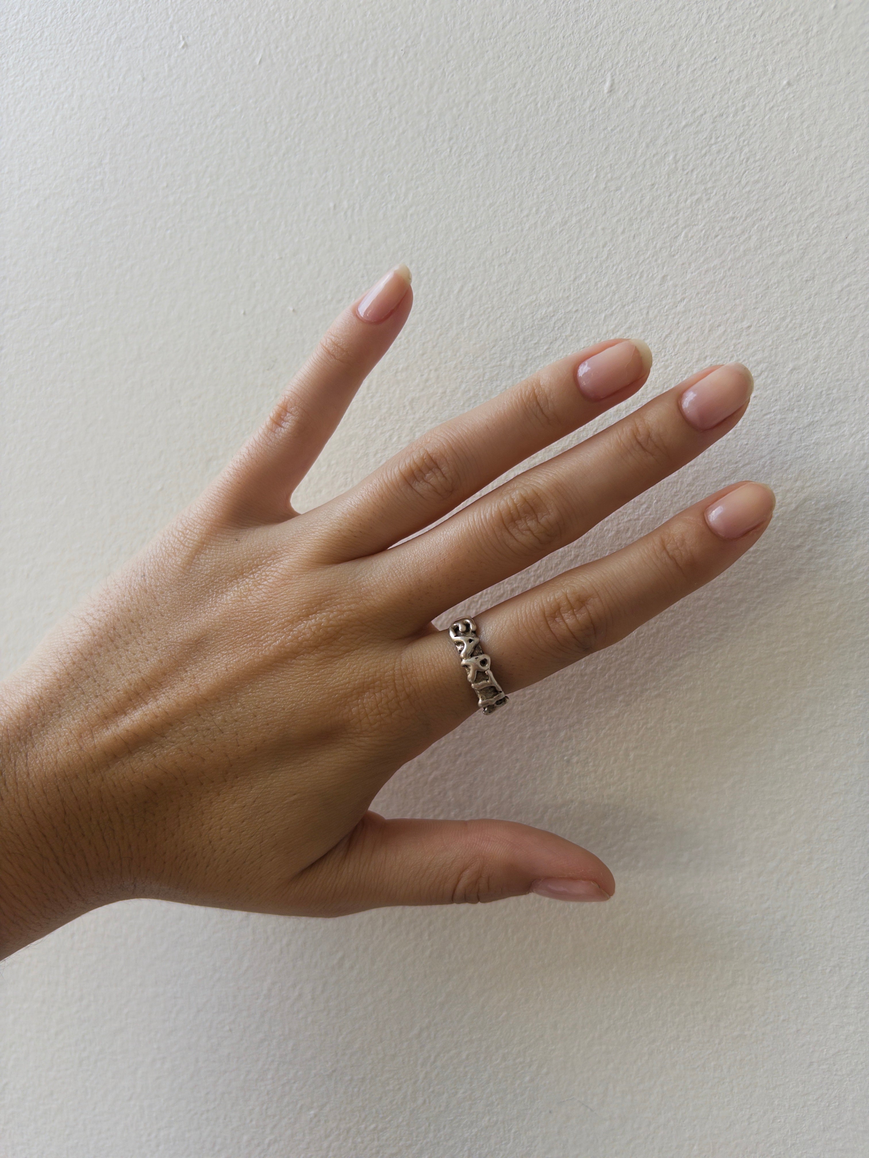 Earth Ring