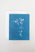 Cyanotype Greeting Card