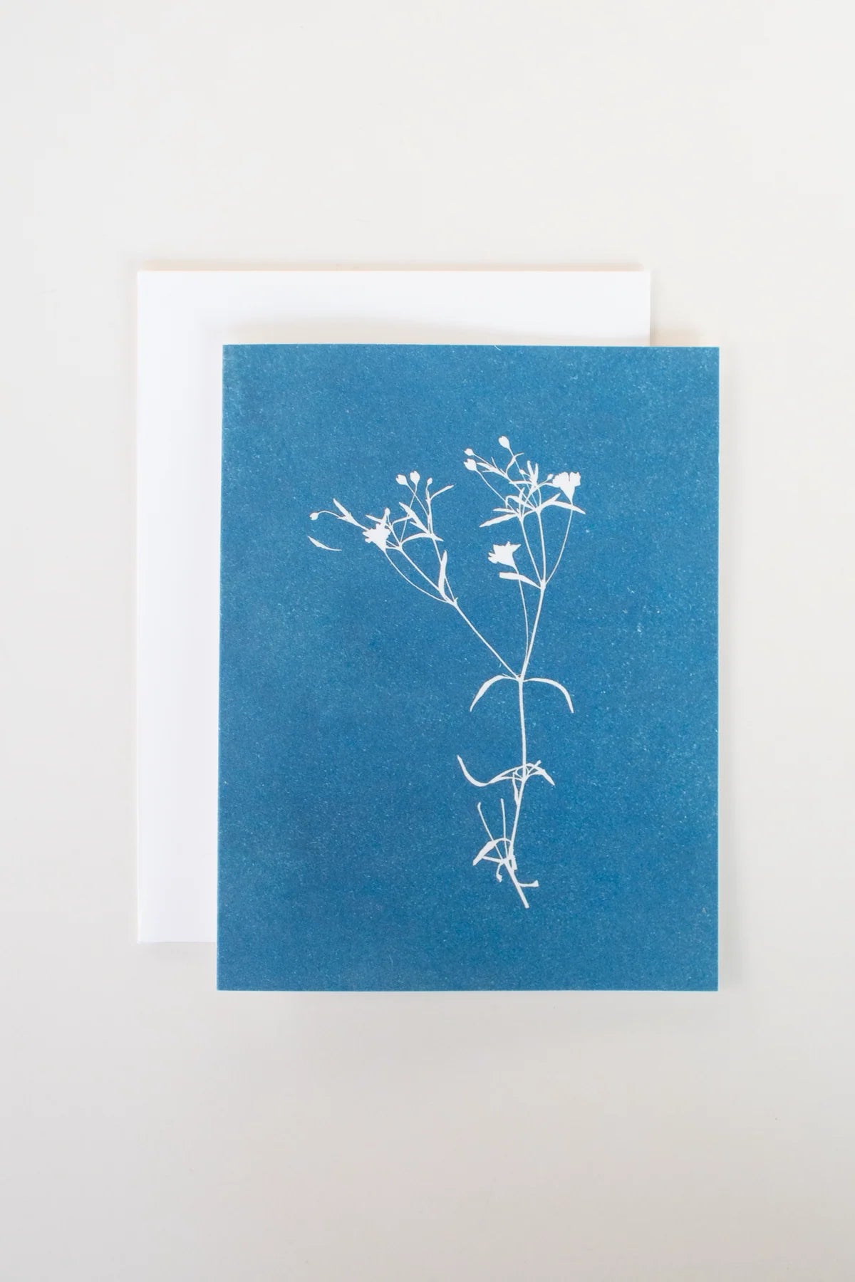 Cyanotype Greeting Card