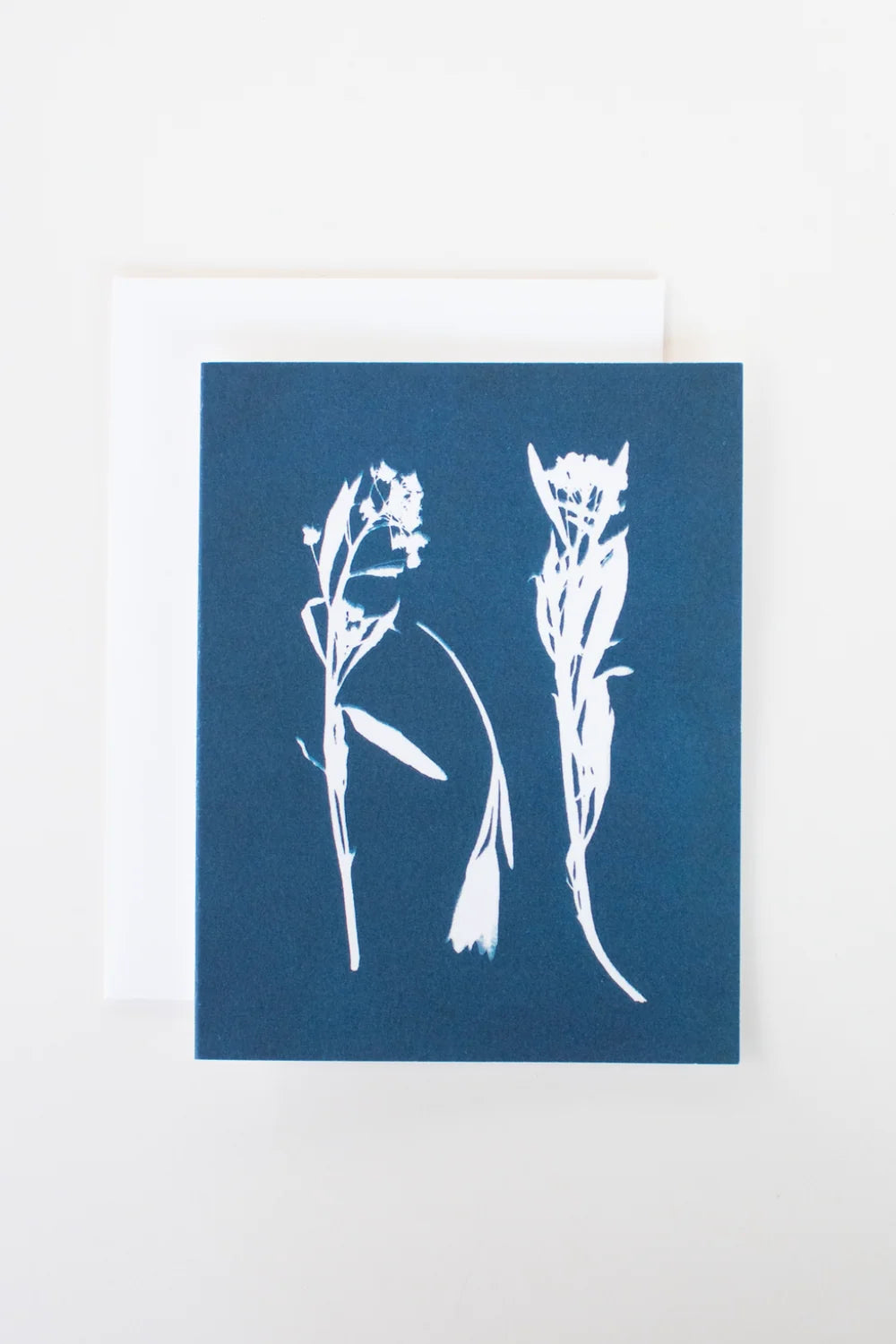 Cyanotype Greeting Card