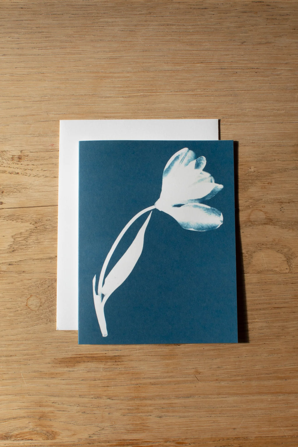 Cyanotype Greeting Card
