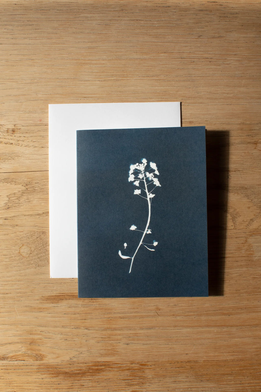 Cyanotype Greeting Card