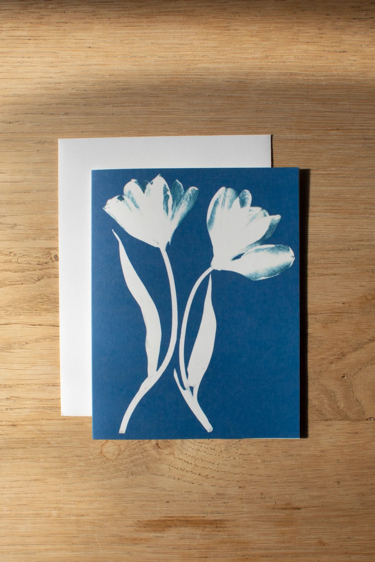 Cyanotype Greeting Card